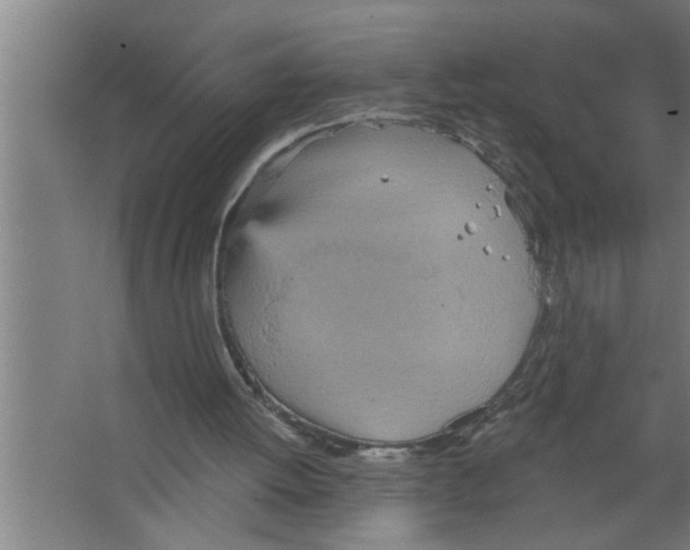 X0000067470052200604281904