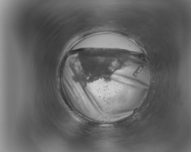 X0000067470053200604281905