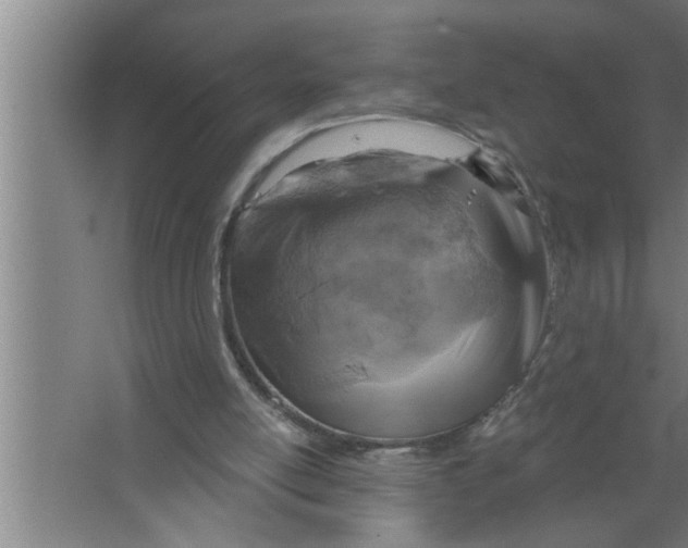 X0000067470054200604281905