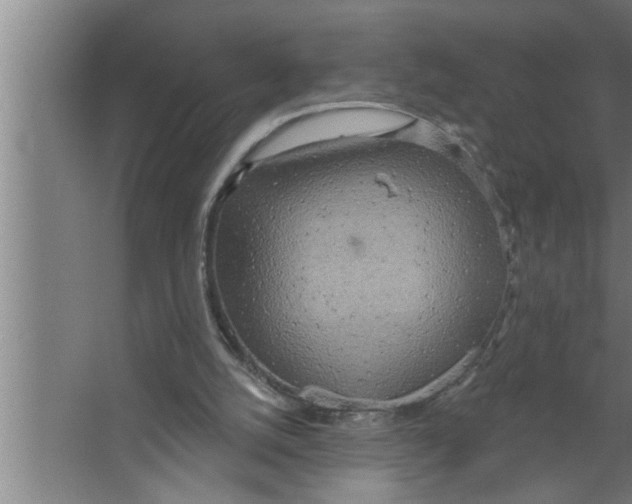 X0000067470056200604281905