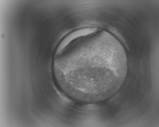 X0000067470058200604281905