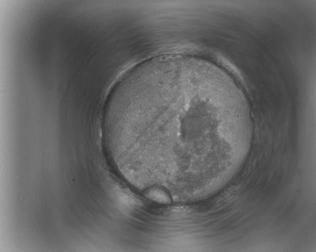 X0000067470059200604281905