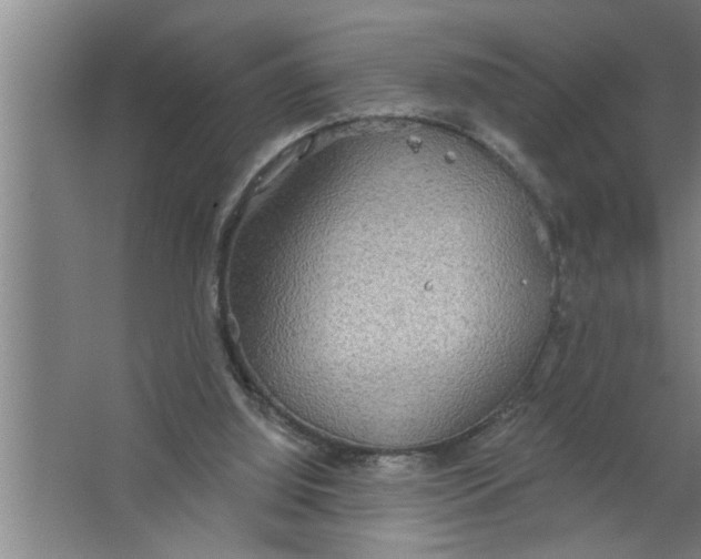 X0000067470060200604281905