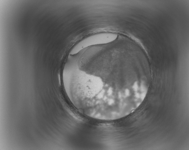 X0000067470061200604281905