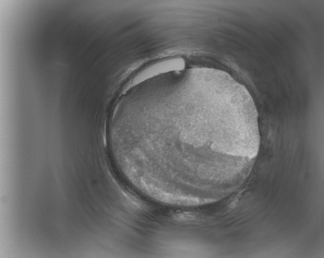 X0000067470062200604281905