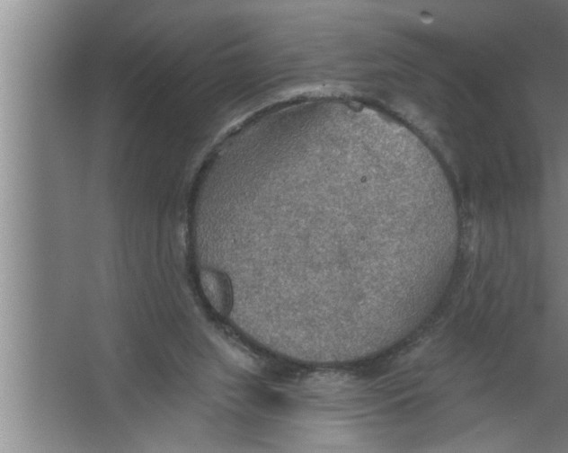 X0000067470063200604281905