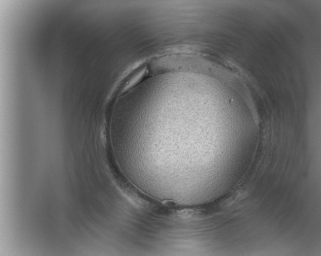 X0000067470064200604281905