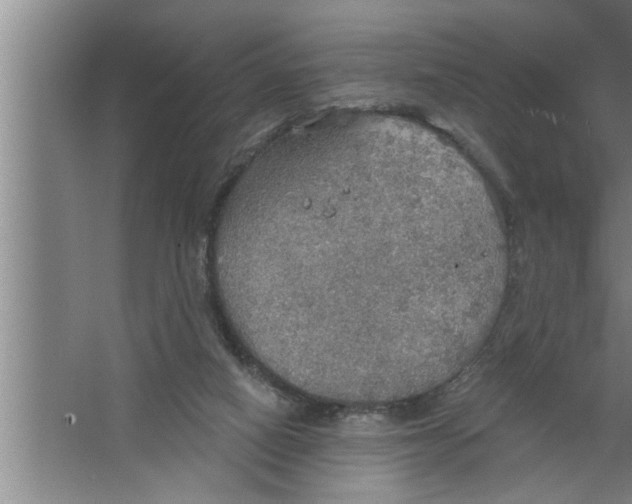 X0000067470066200604281905