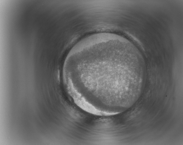 X0000067470067200604281905