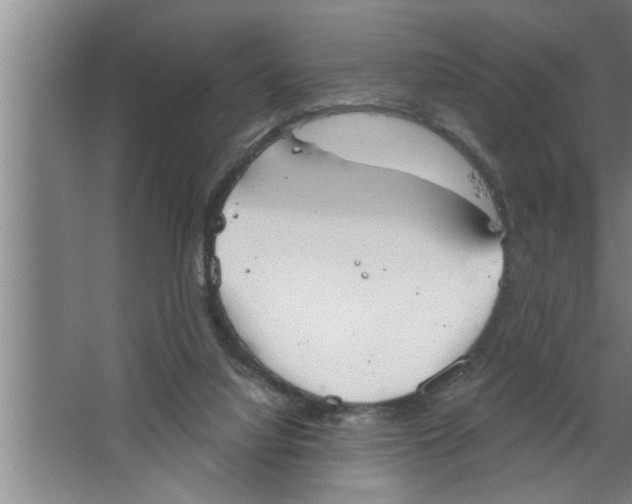 X0000067470068200604281905