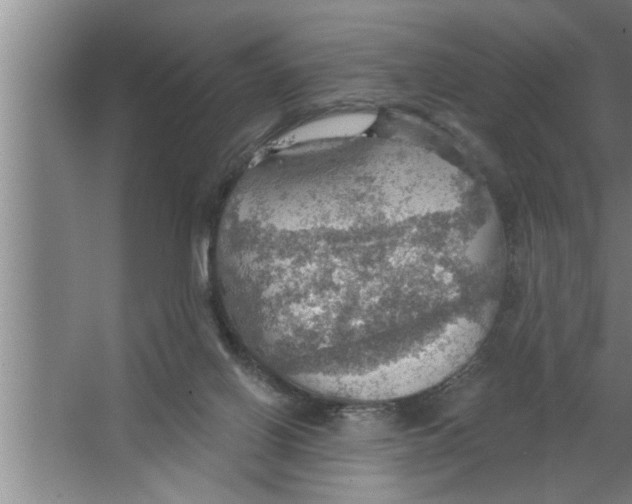 X0000067470070200604281905