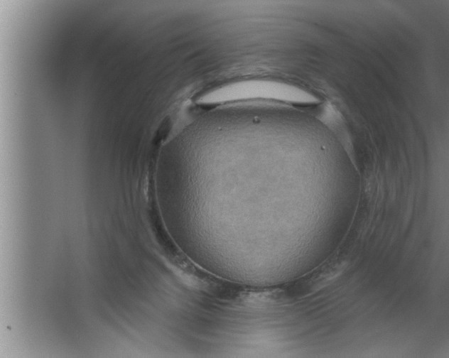 X0000067470072200604281905