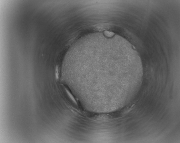 X0000067470075200604281905