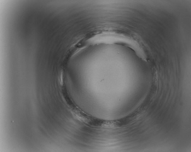 X0000067470076200604281905