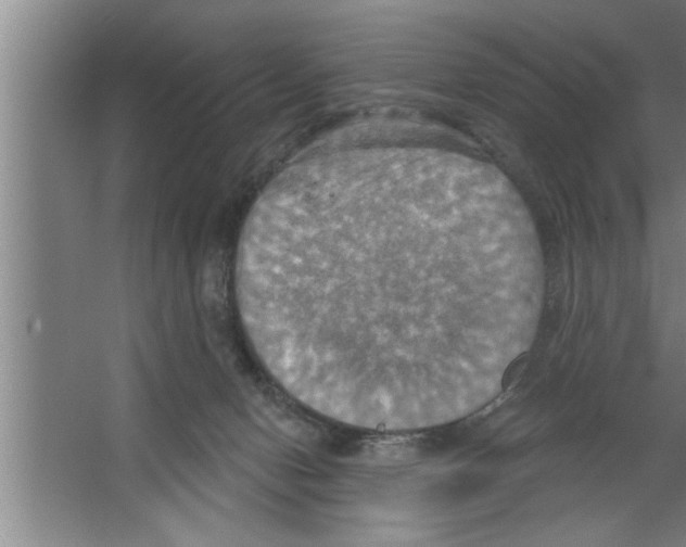 X0000067470078200604281905