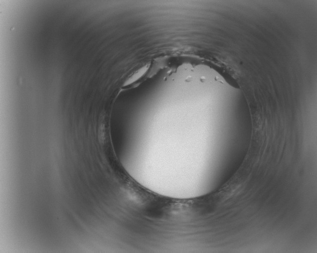 X0000067470080200604281905