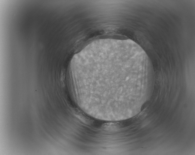 X0000067470082200604281905