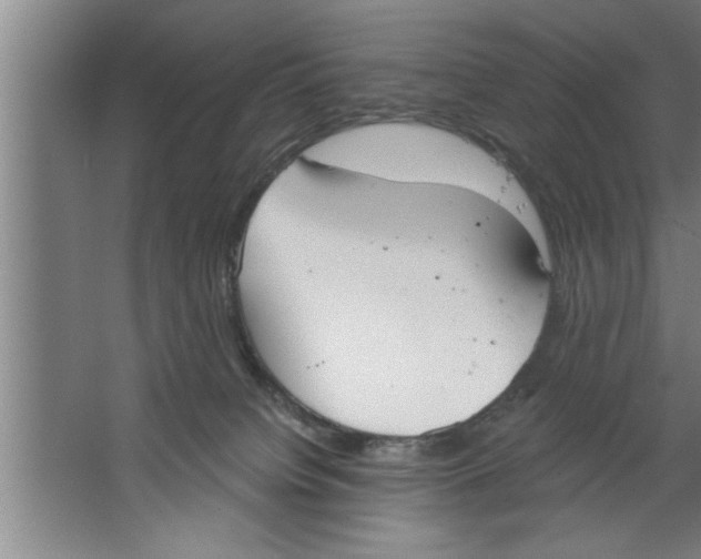 X0000067470084200604281905