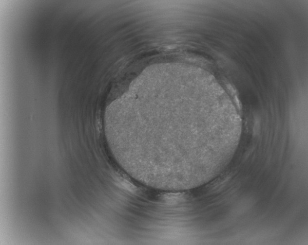 X0000067470085200604281905