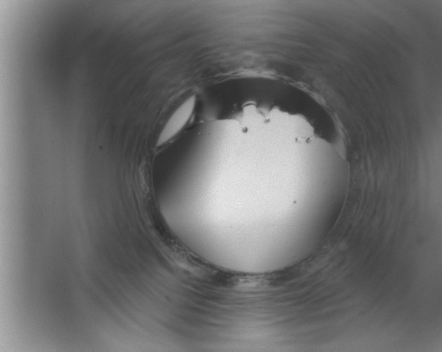 X0000067470088200604281905