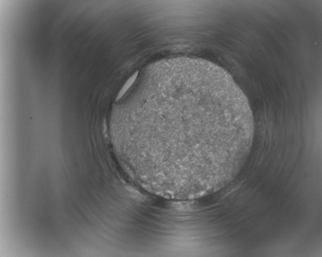 X0000067470089200604281905