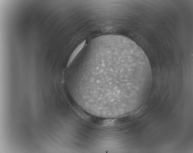 X0000067470090200604281905