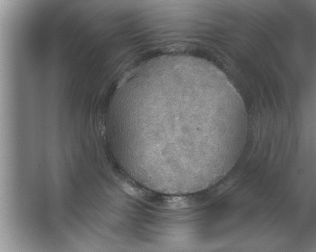 X0000067470091200604281905