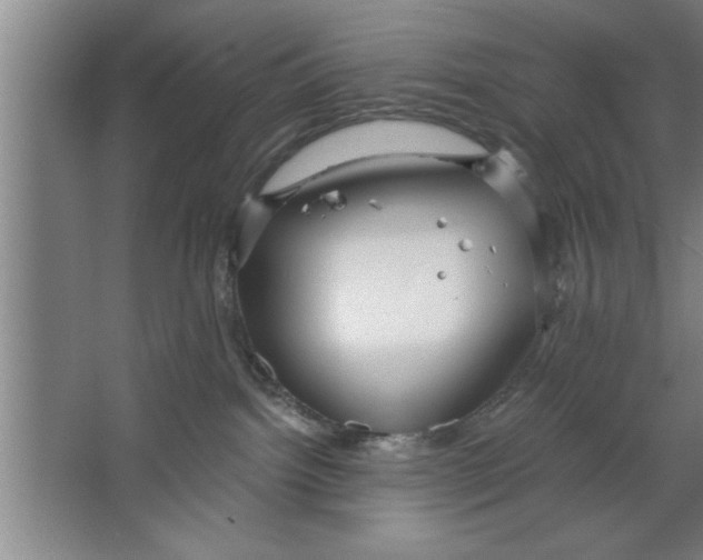 X0000067470092200604281905