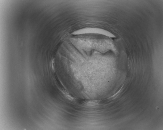 X0000067470094200604281905