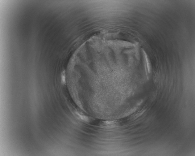 X0000067470095200604281905