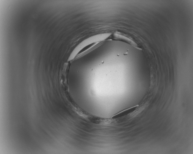 X0000067470096200604281905