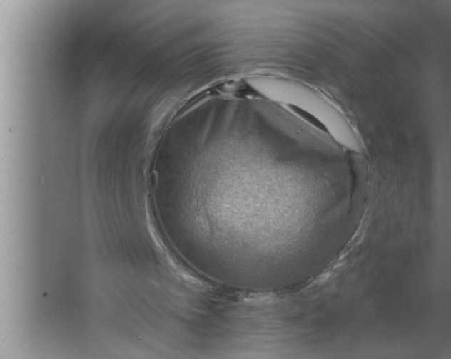 X0000067470097200604281904