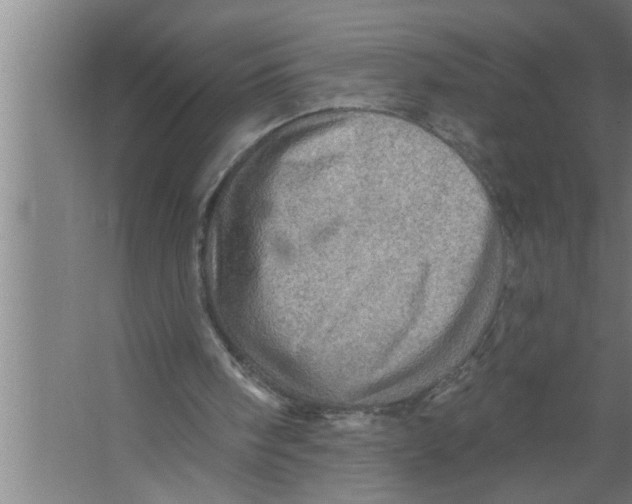 X0000067470098200604281904