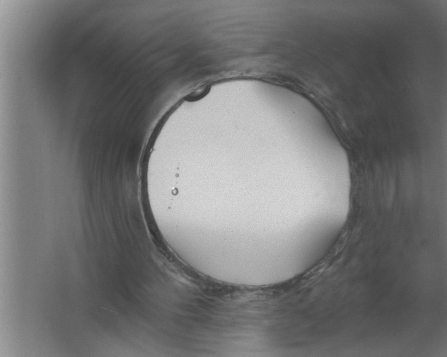 X0000067470100200604281904