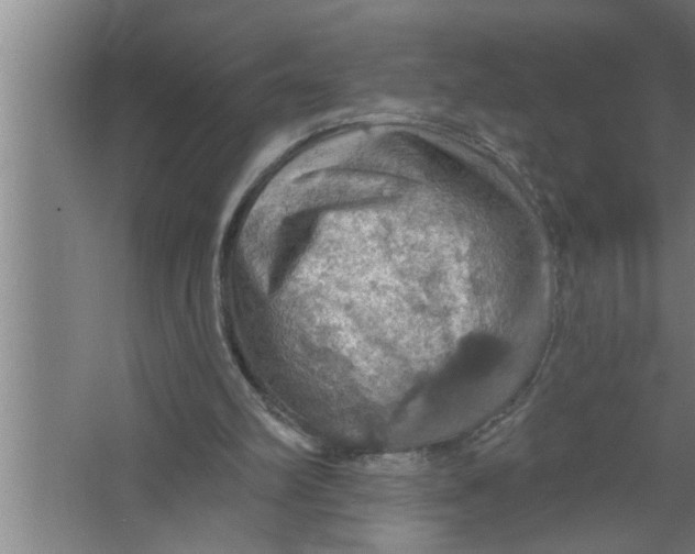 X0000067470102200604281904