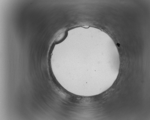 X0000067470104200604281904