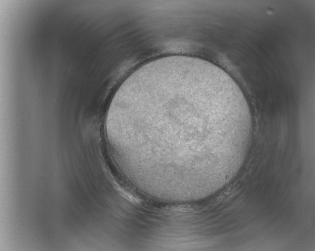 X0000067470106200604281904