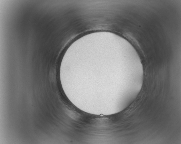 X0000067470108200604281904