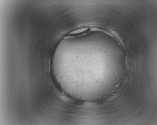 X0000067470109200604281904