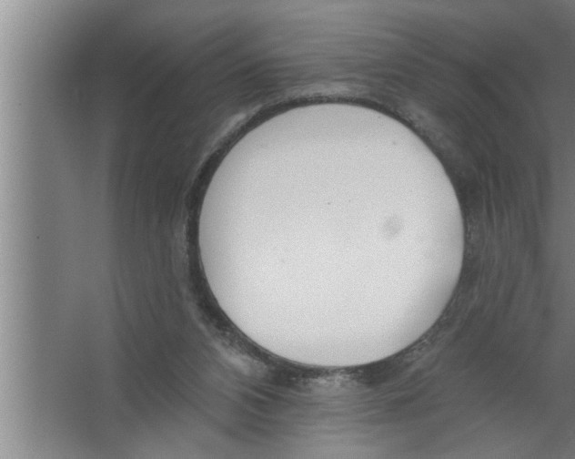 X0000067470112200604281904