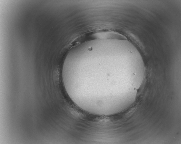 X0000067470113200604281904