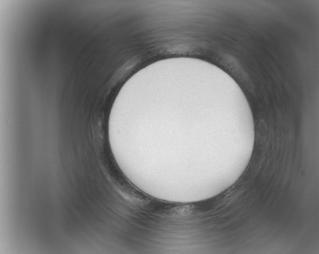 X0000067470116200604281904