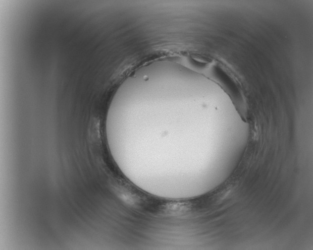 X0000067470117200604281904