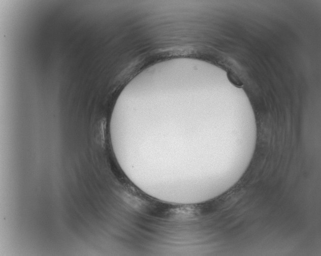 X0000067470118200604281904