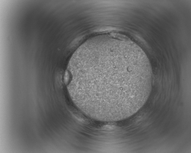 X0000067470119200604281904