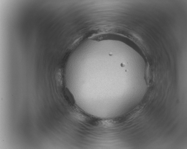 X0000067470121200604281904