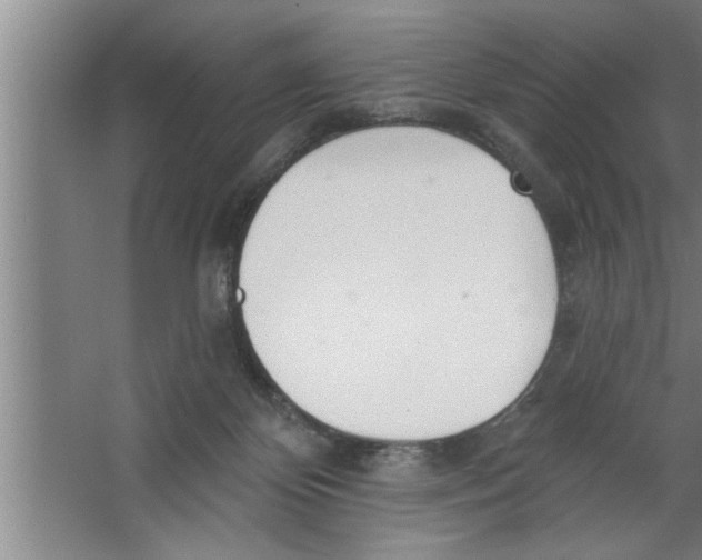 X0000067470124200604281904