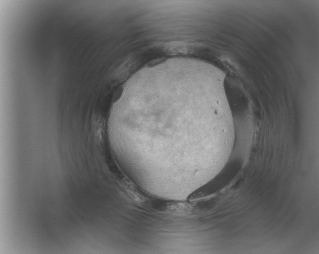 X0000067470125200604281904