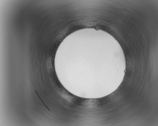 X0000067470128200604281904