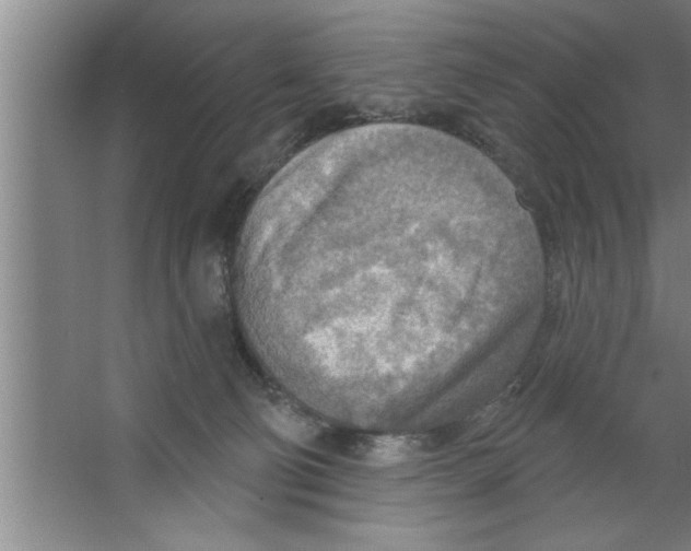 X0000067470130200604281904